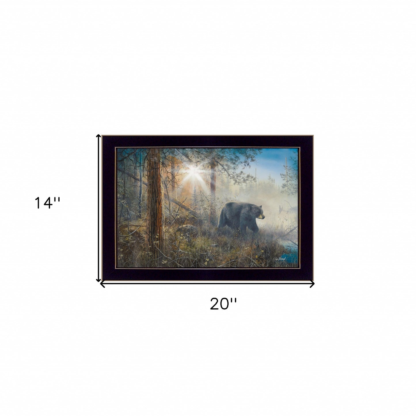 Shadow In The Mist Black Framed Print Wall Art