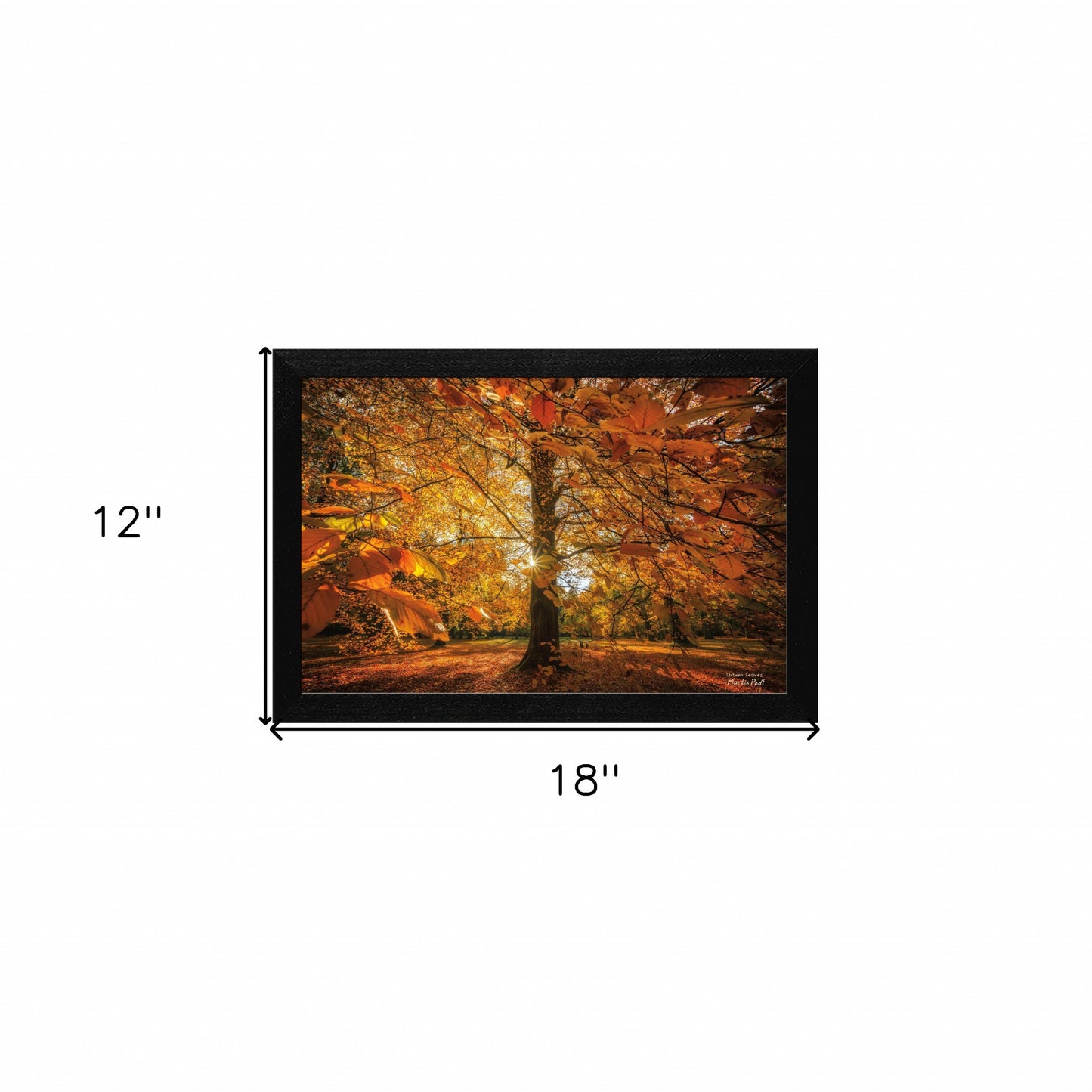 Autumn Leaves 4 Black Framed Print Wall Art