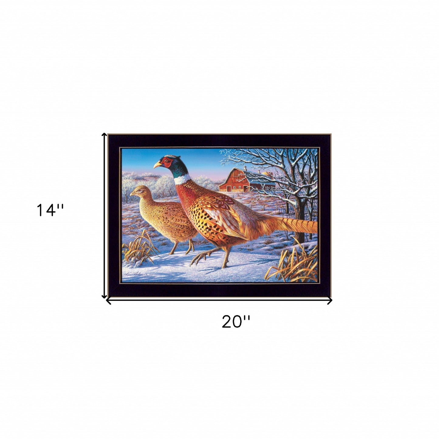 Frosty Morning Ringnecks 1 Black Framed Print Wall Art