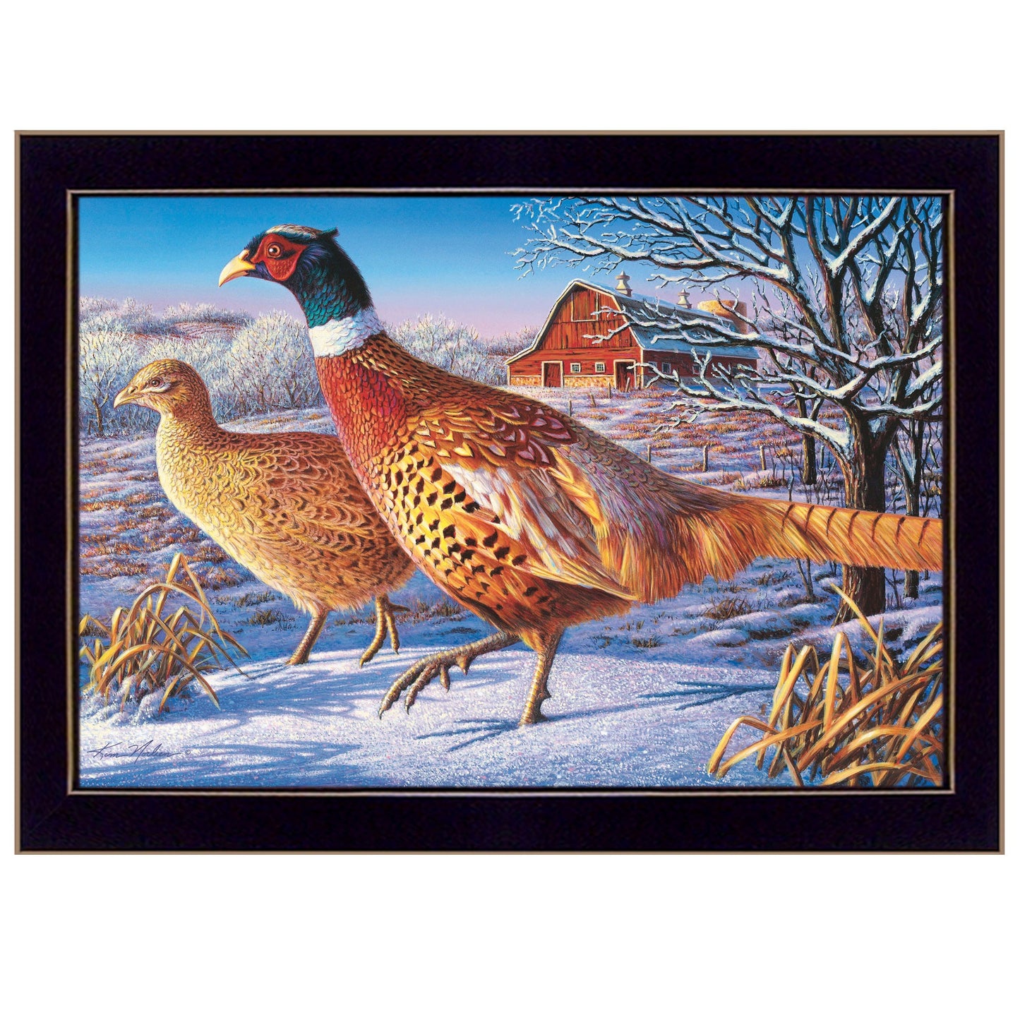 Frosty Morning Ringnecks 1 Black Framed Print Wall Art