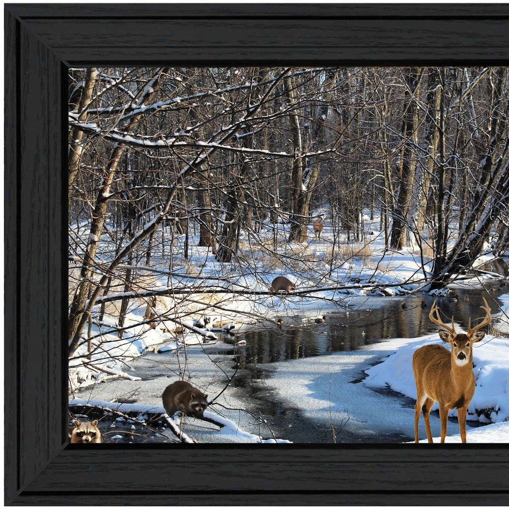 Great Outdoors Nature 1 Black Framed Print Wall Art