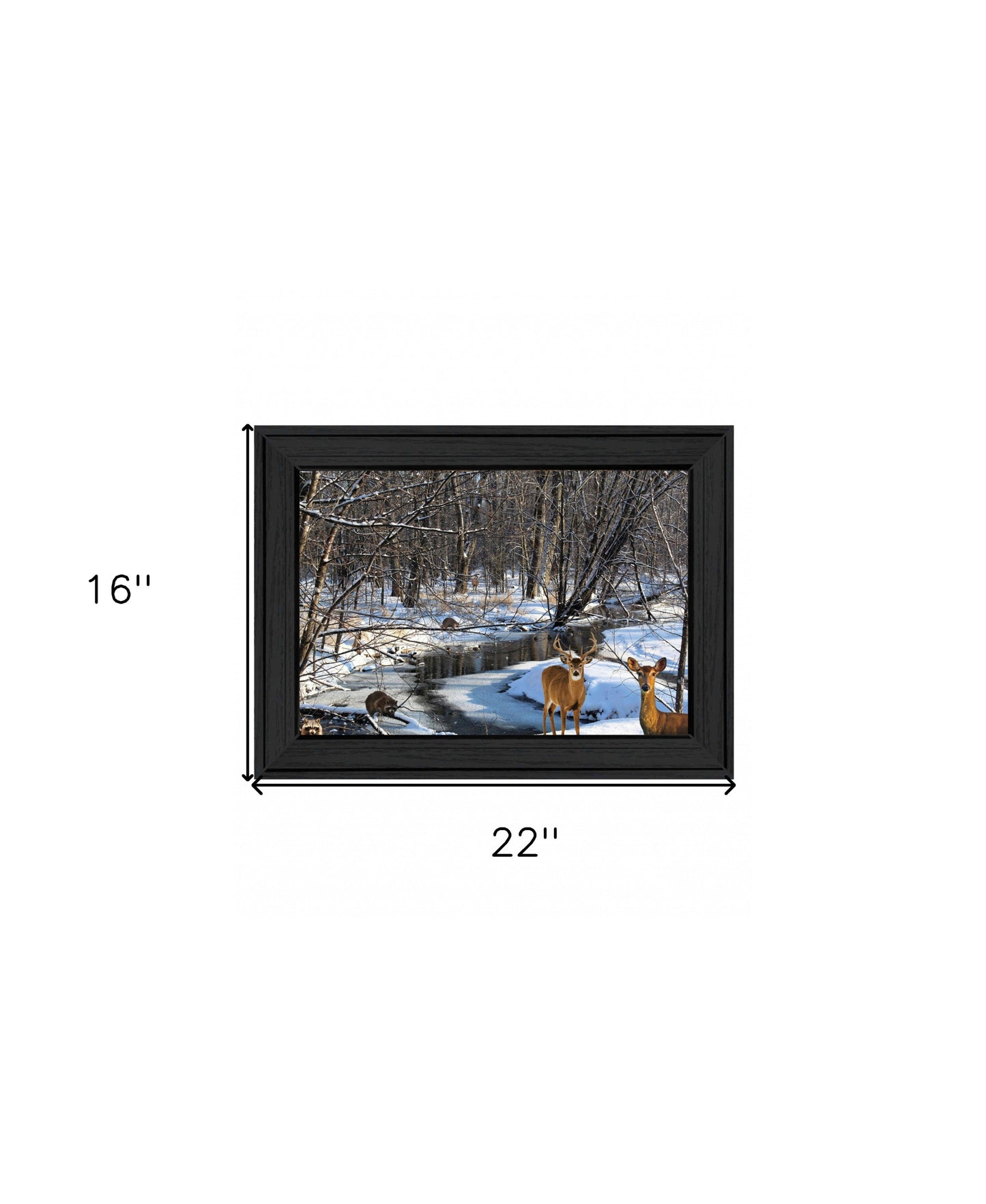 Great Outdoors Nature 1 Black Framed Print Wall Art