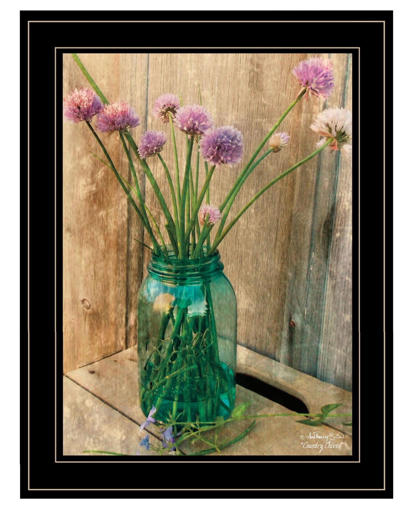 Country Chives 2 Black Framed Print Wall Art