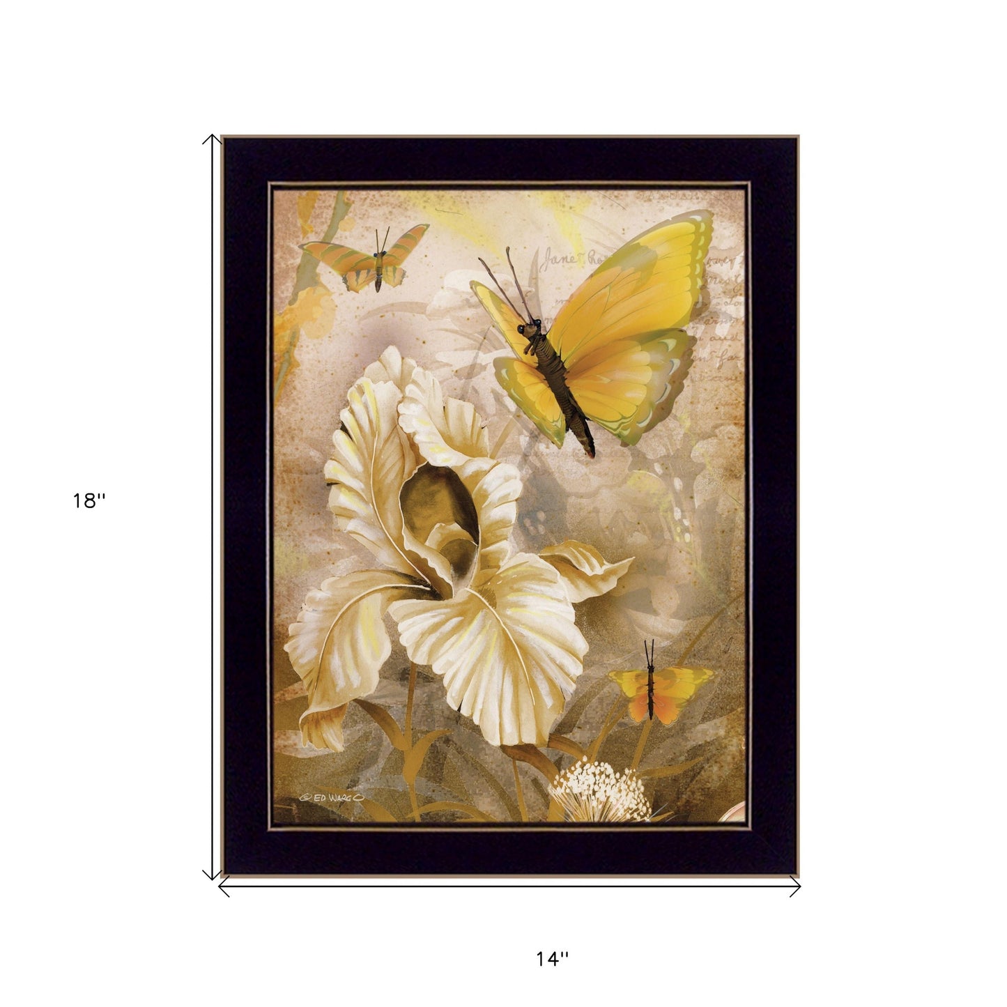 Flowers & Butterflies I 1 Black Framed Print Wall Art