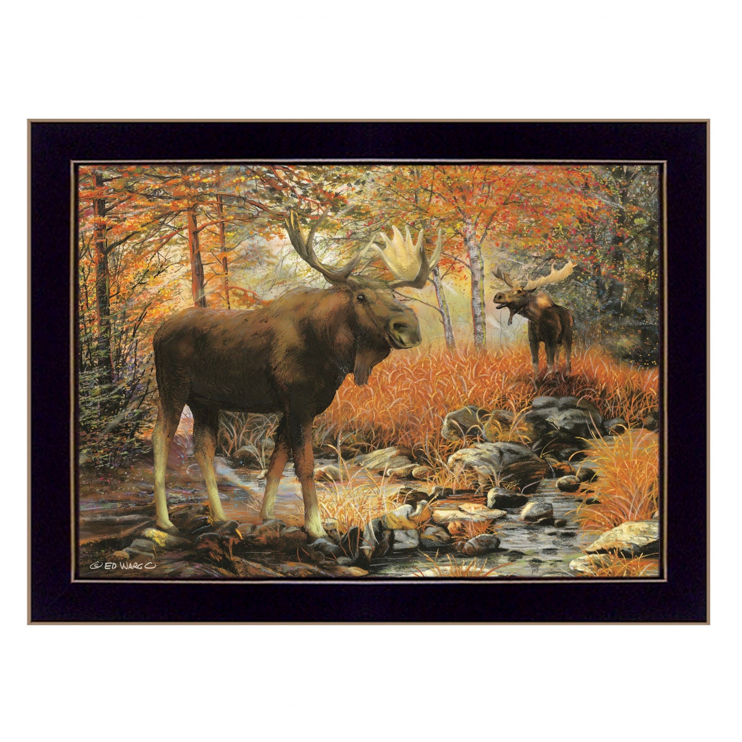 Call Of The Wild 1 Black Framed Print Wall Art