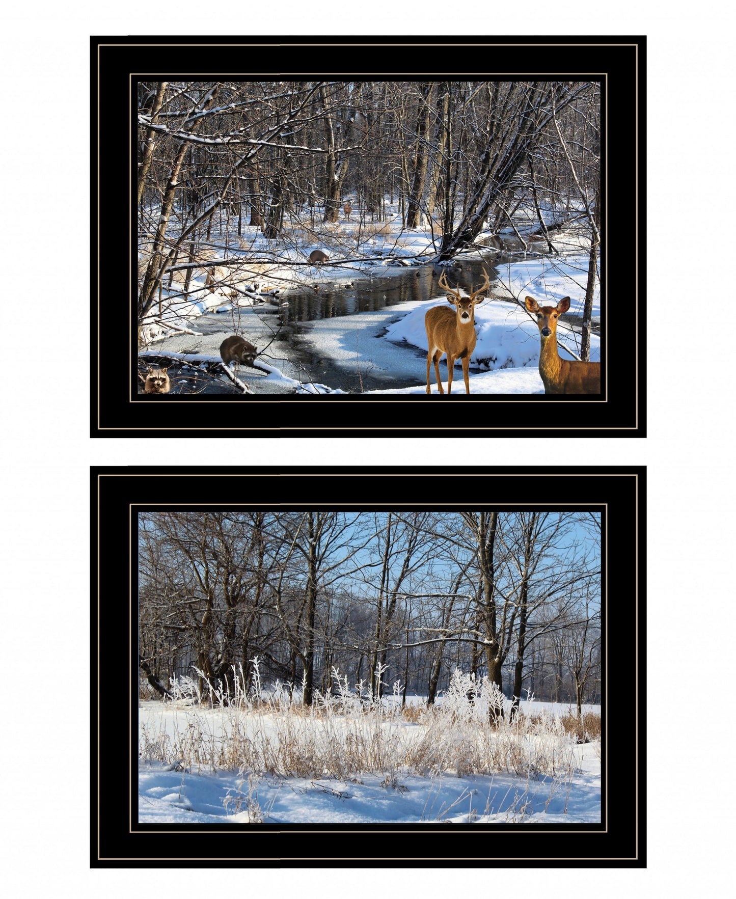 Set Of Two Great Outdoors Nature Or Winter Forest 4 Black Framed Print Wall Art