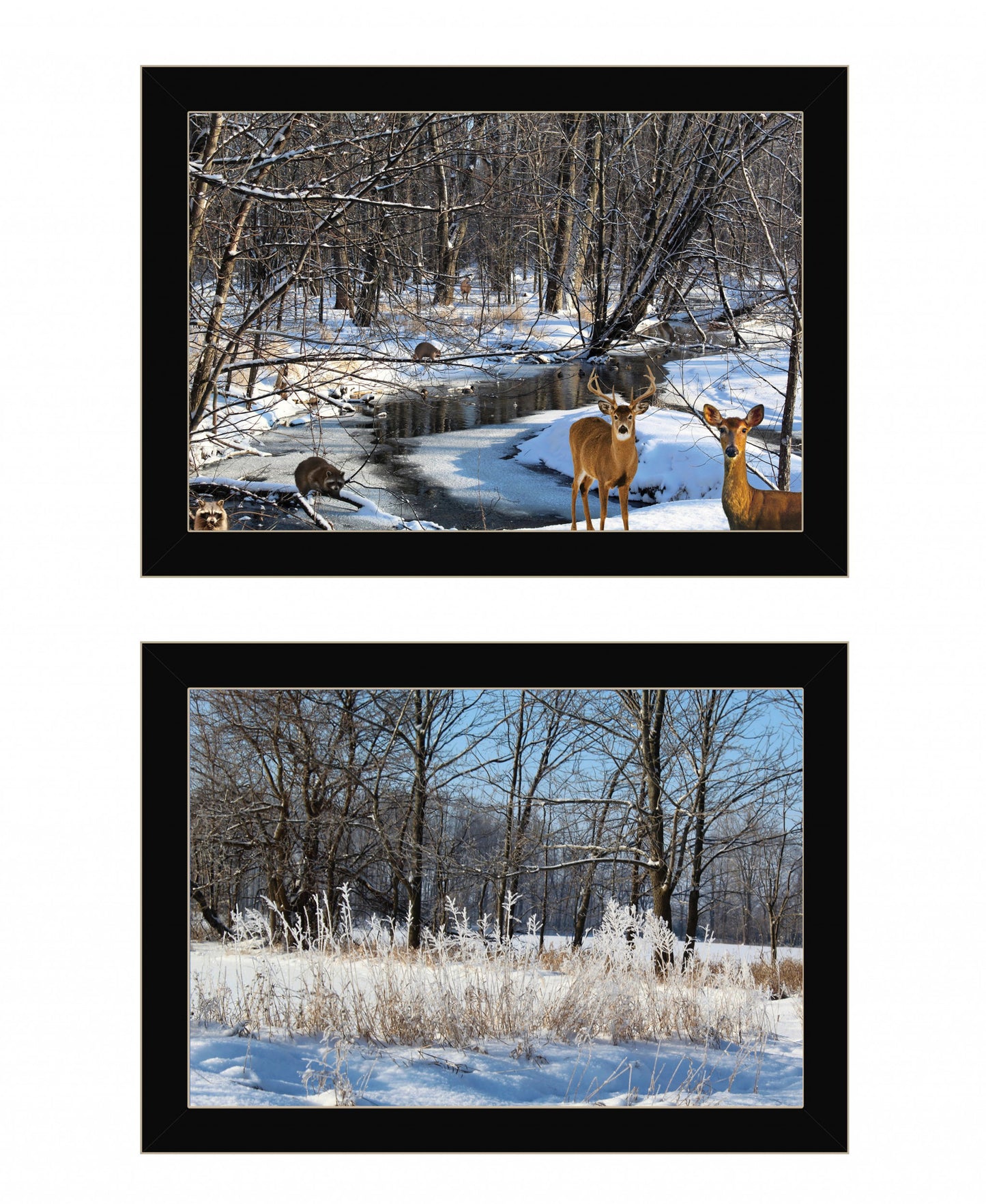 Set Of Two Great Outdoors Nature Or Winter Forest 1 Black Framed Print Wall Art