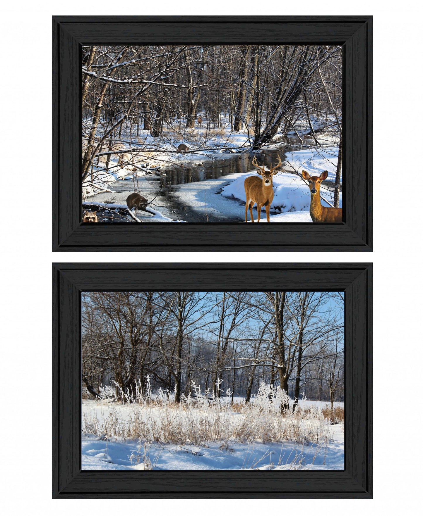 Set Of Two Great Outdoors Nature Or Winter Forest 3 Black Framed Print Wall Art