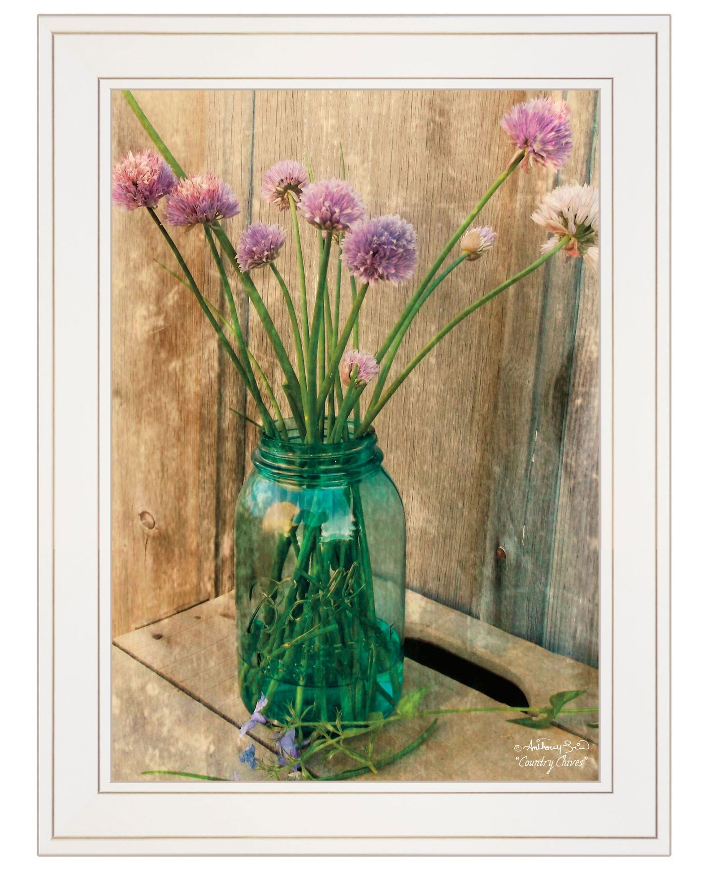 Country Chives 1 White Framed Print Wall Art