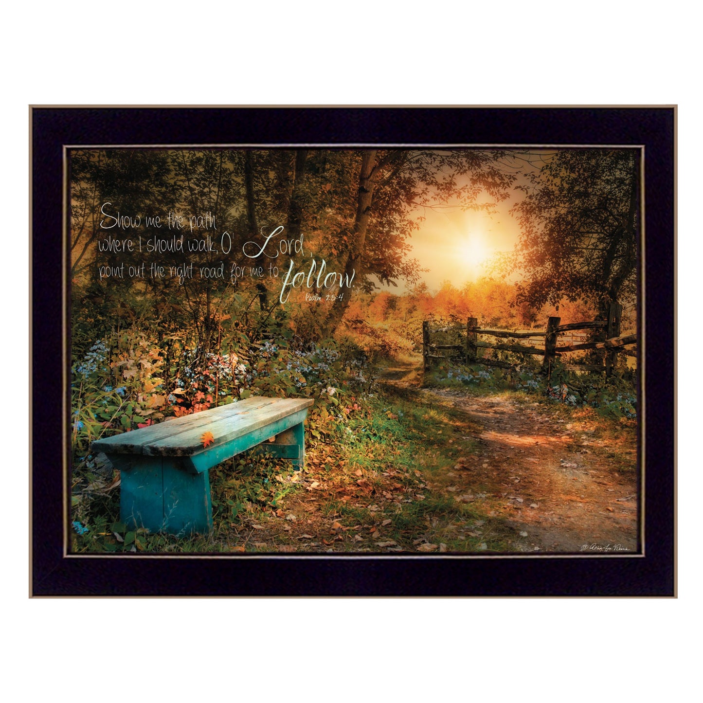 Show Me The Path 2 Black Framed Print Wall Art