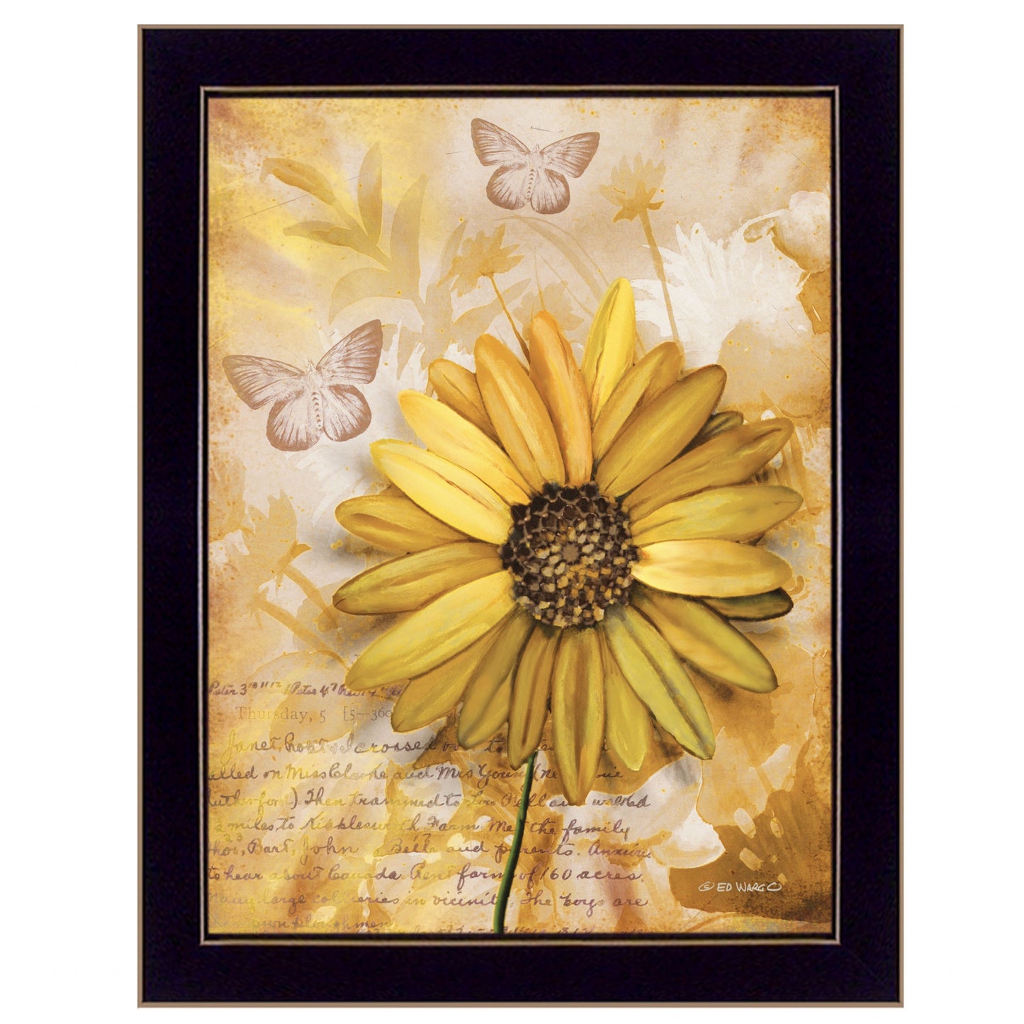 Flowers & Butterflies II 1 Black Framed Print Wall Art