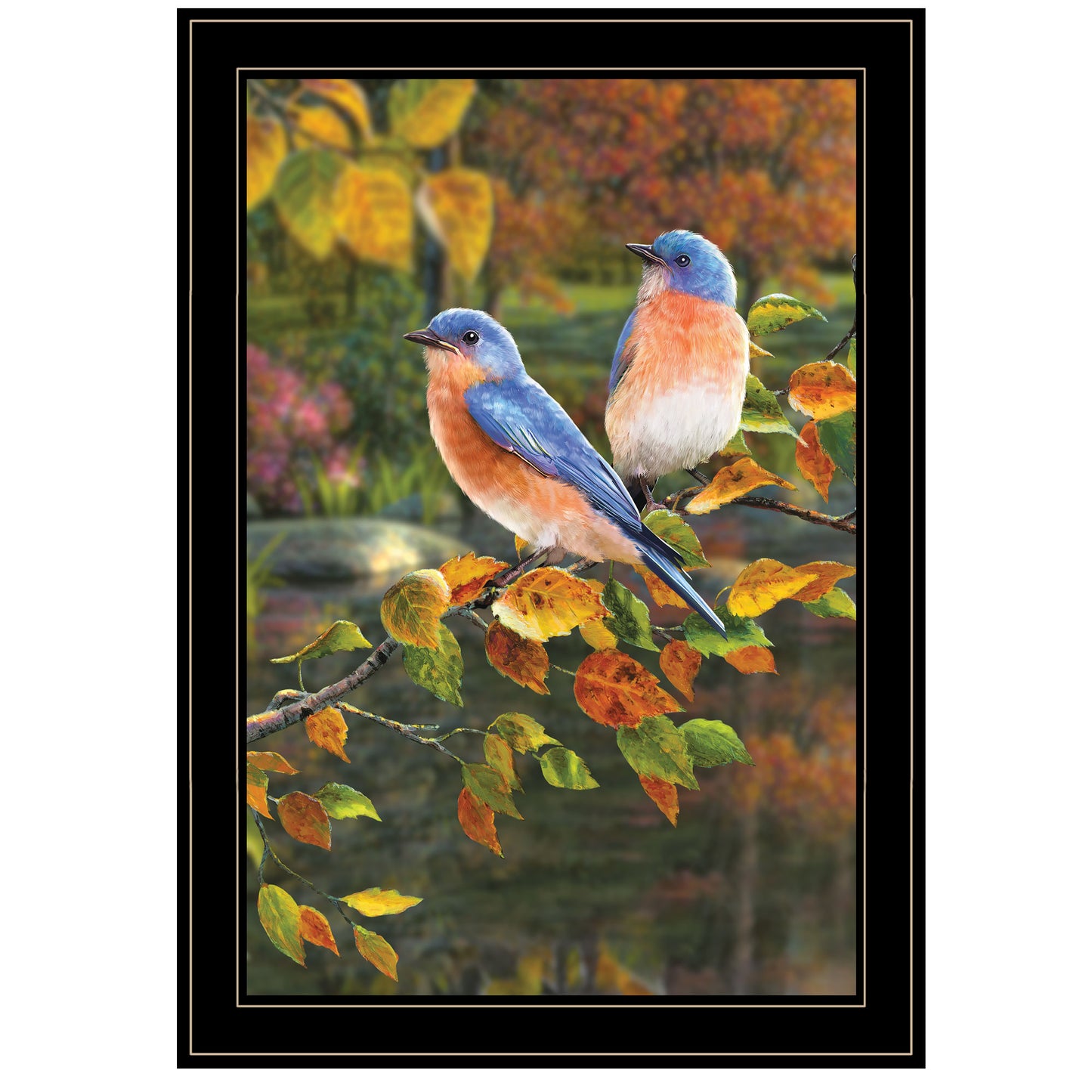 Bluebirds Black Wrapped Canvas Print Wall Art