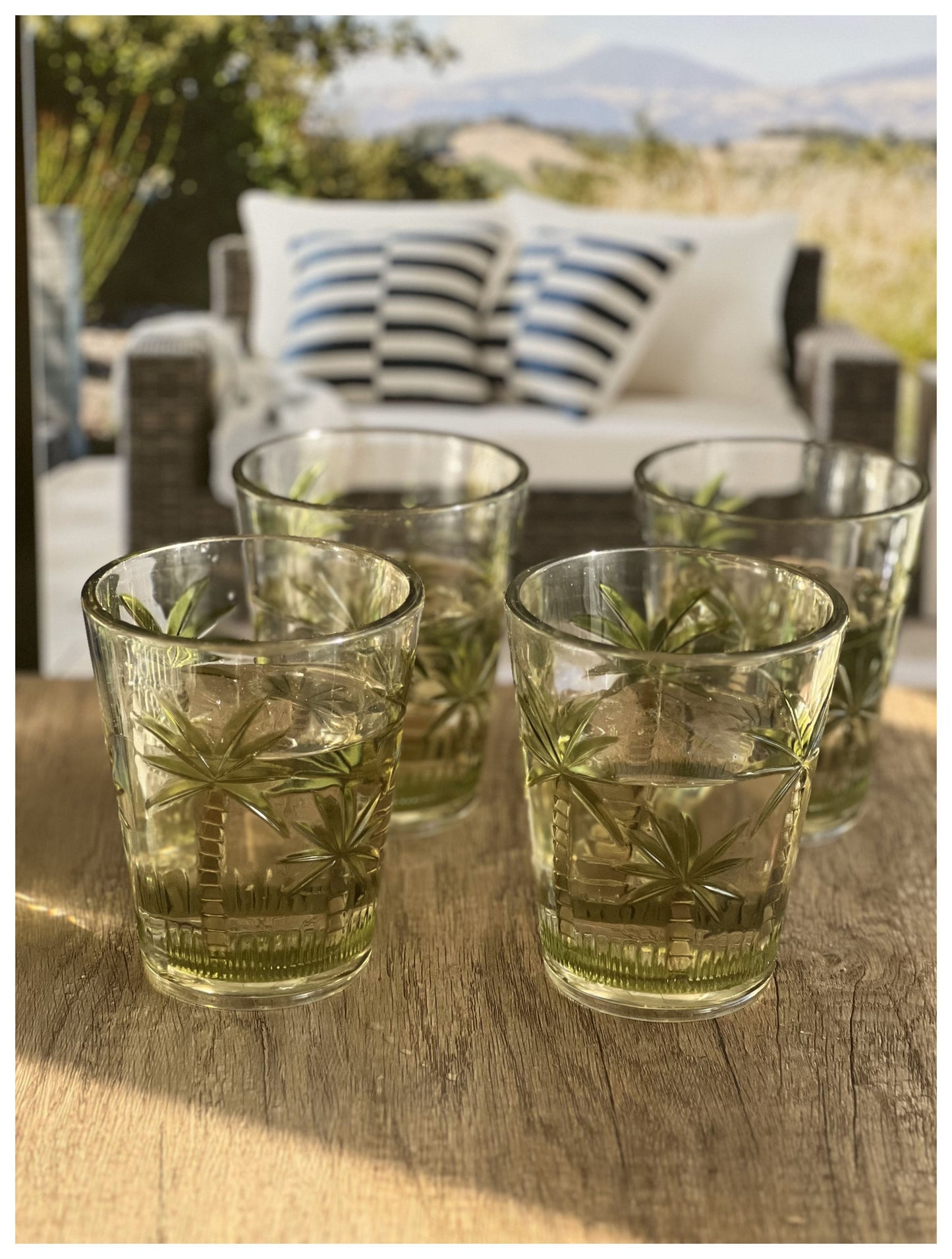 Set of Four Green Floral Acrylic Stemless Whiskey Glass