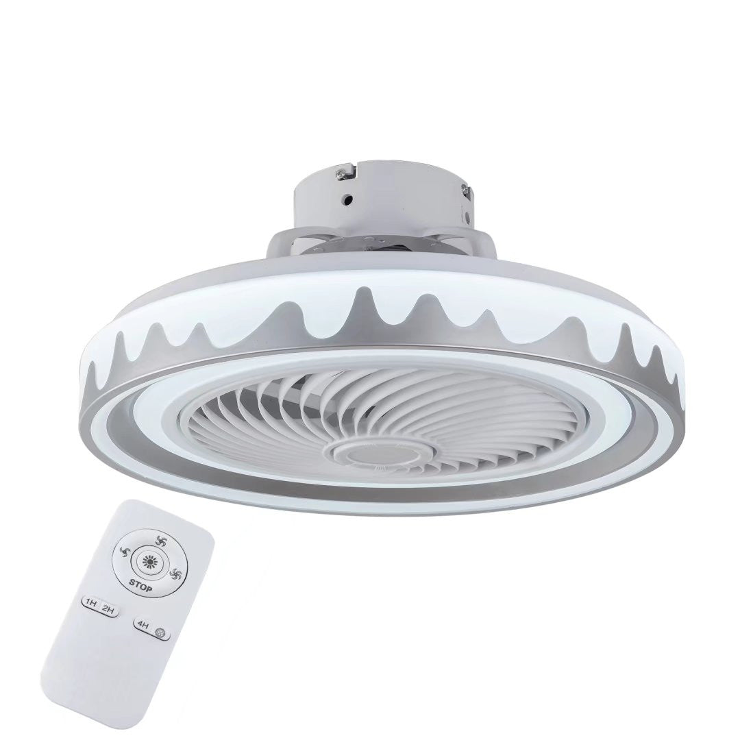 Contemporary Ceiling Fan and Light