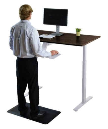 Premier 52" White Dual Motor Electric Office Adjustable Standing Desk