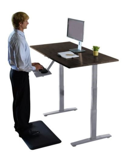 Premier 52" Silver Dual Motor Electric Office Adjustable Standing Desk