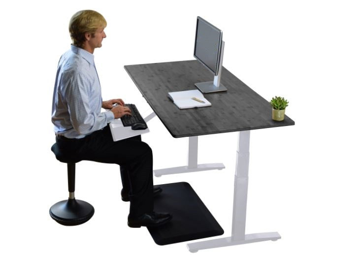 Premier 52" White Dual Motor Electric Office Adjustable Standing Desk