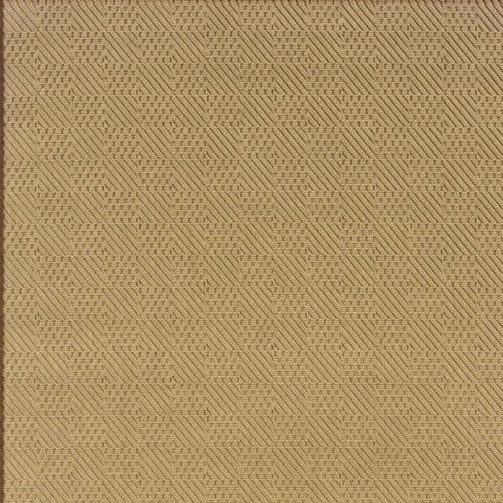 Beige Indoor Outdoor Area Rug