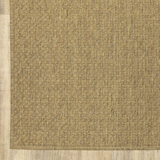 Tan Indoor Outdoor Area Rug