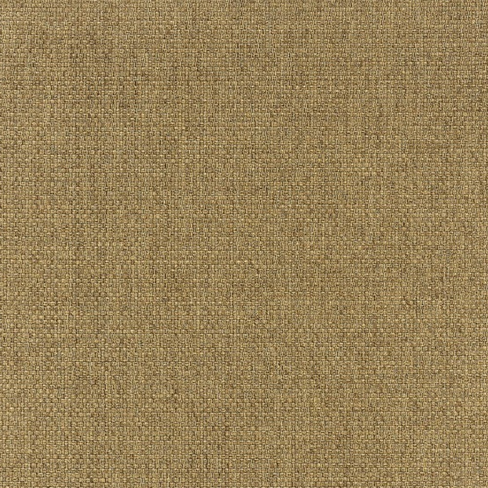 5' x 8' Tan Indoor Outdoor Area Rug