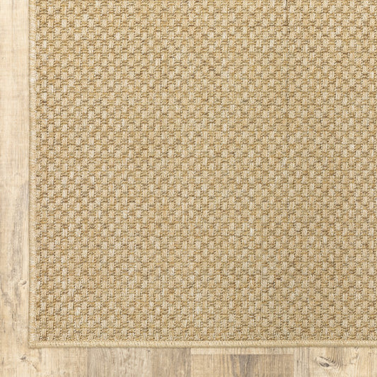 Beige Indoor Outdoor Area Rug