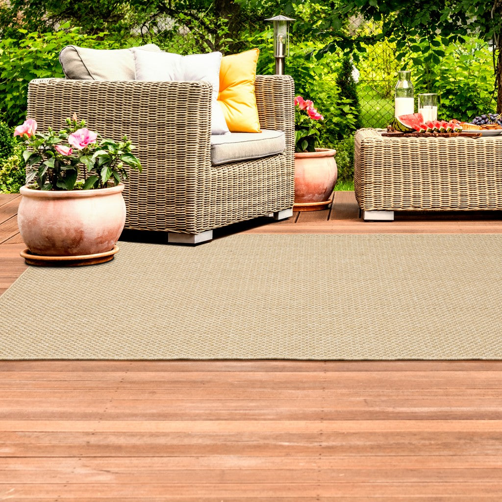 Beige Indoor Outdoor Area Rug