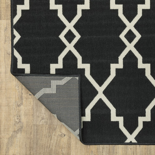 Black and Ivory Indoor Outdoor Area Rug