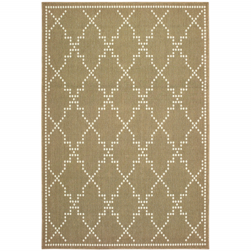 4' x 6' Tan Geometric Stain Resistant Indoor Outdoor Area Rug