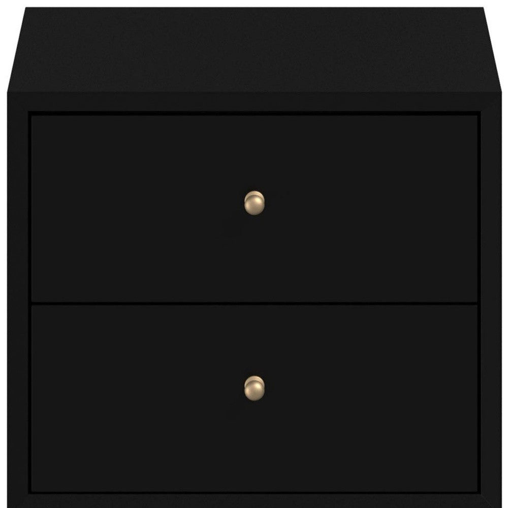 Black Century Modern Wood 2 Drawer Nightstand